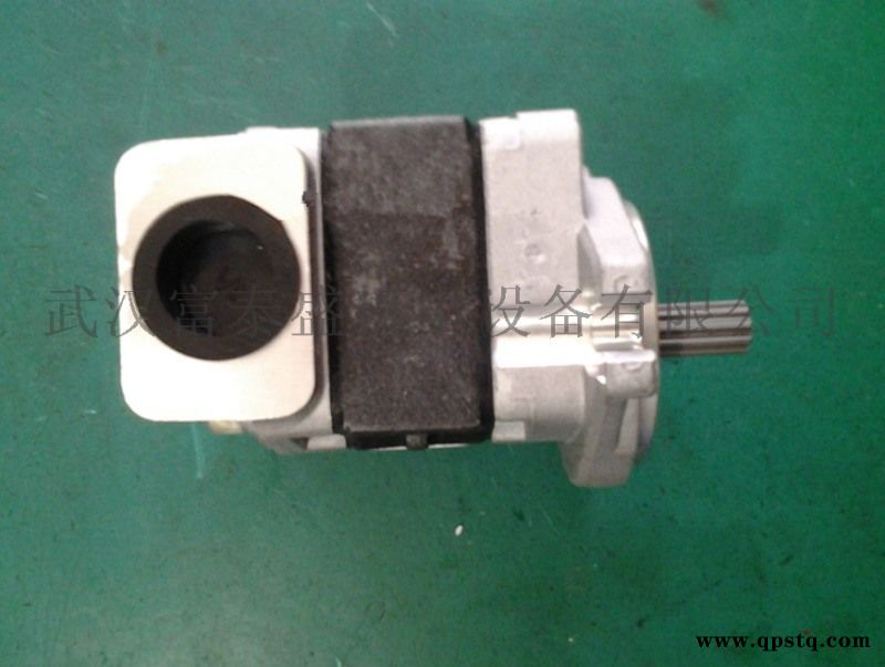 DSG05A18F9H1-R204C齿轮油泵图5