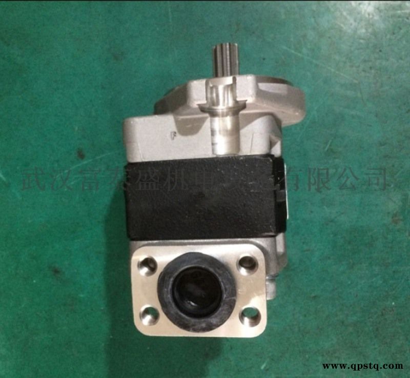 DSG05A25F9H1-R206C 天津岛津液压有限公司齿轮油泵图5