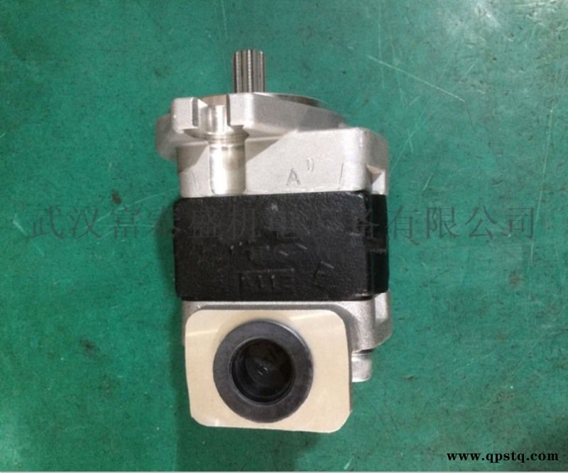 DSG05C23F9H1-R213C齿轮油泵图4