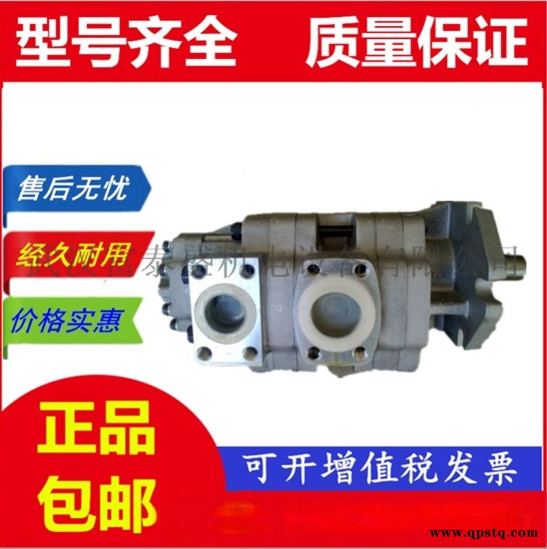 【G5-12-06-1E13S-20L,双联齿轮泵 厂家 价格】齿轮油泵图5