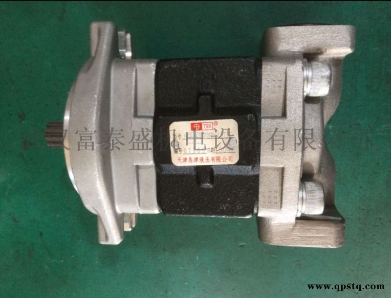 供应液压齿轮油泵SGP1A23L849T FD15-18图3