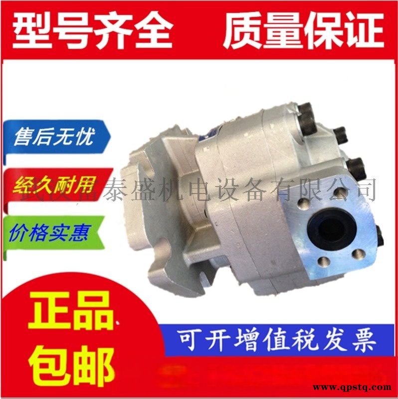 【G5-25-25-20-10-1E13F-R】齿轮油泵图3