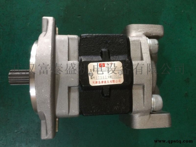 天津岛津液压油泵SGP1A20A2H9-R205C图2