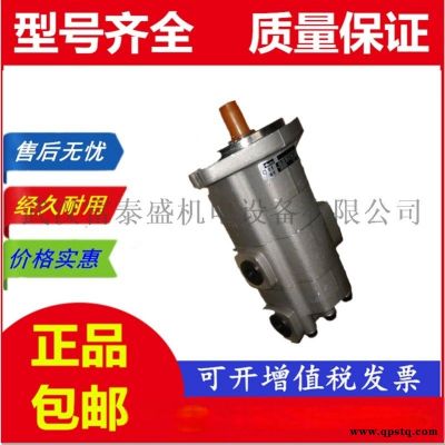 【G5-20-1E13R-R 】齿轮油泵