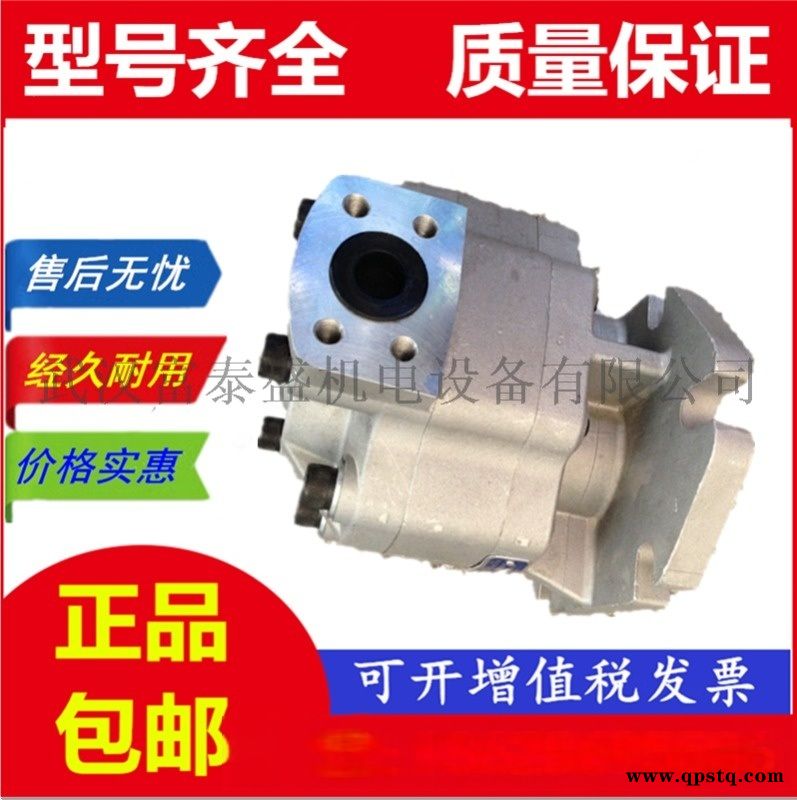 【G5-16-A13F-20-R】齿轮油泵图5