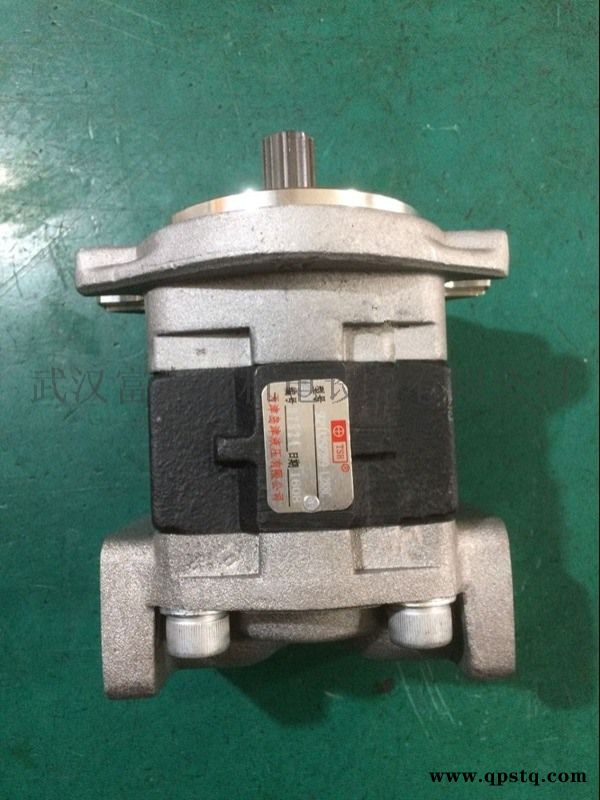 天津岛津液压油泵D25S-3 D503297图4