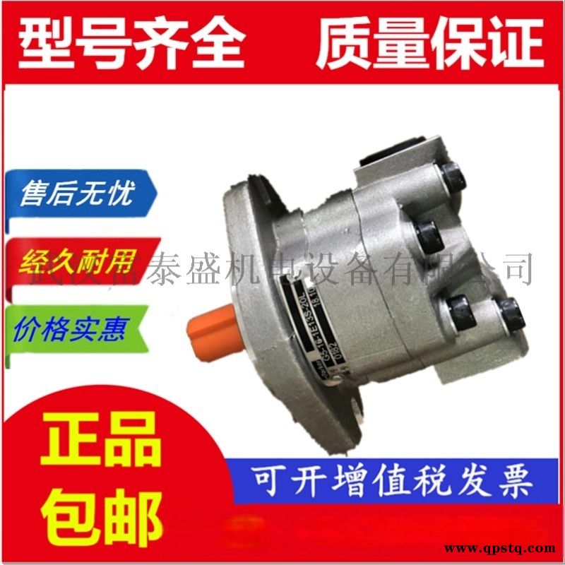 【G5-5-1E13F-20L,G5-6-1E13F-20L】齿轮油泵图2