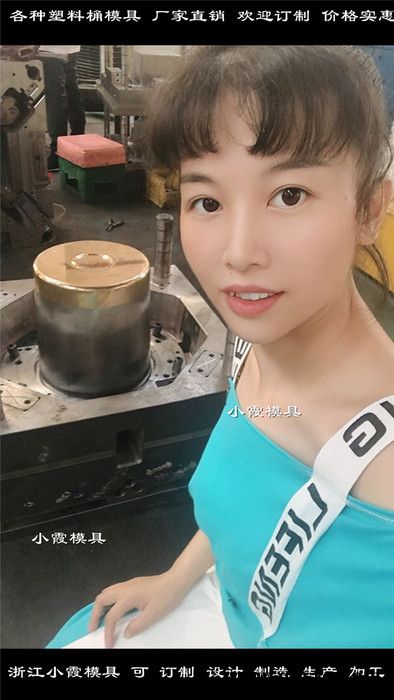 防冻液桶模具塑胶桶模具19L乳胶桶模具图5