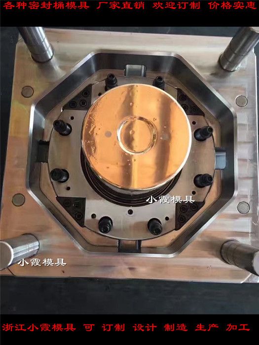 5升防冻液桶模具15L塑胶桶模具厂家图6