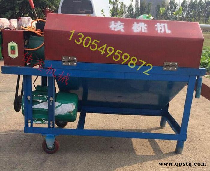 天津现摘鲜核桃扒皮机 山鲜核桃脱皮清洗机核桃去皮清洗剂图7