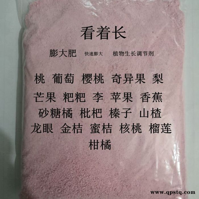 供应看着长 安徽亳州葡萄着色膨大剂 亳州葡萄膨大靓果剂 亳州葡萄着色除锈剂 膨大效果显著 增加产量 不软不裂不空心图8