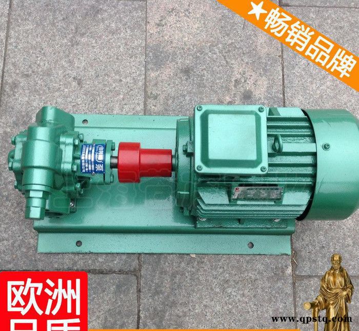 汽车输油泵 膜片输油泵 捷达高压油泵图2