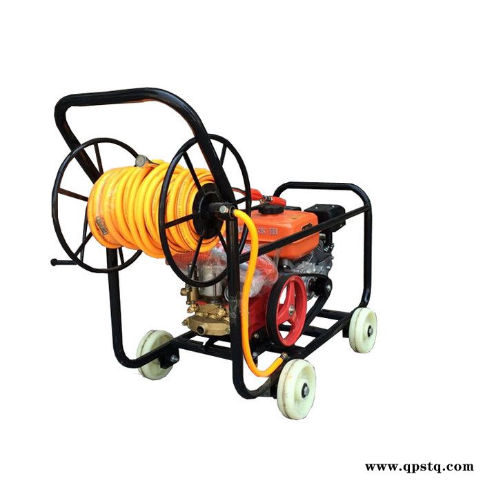 汽油打药机 鸿祺大马力打药机 汽油泵农用打药机图2