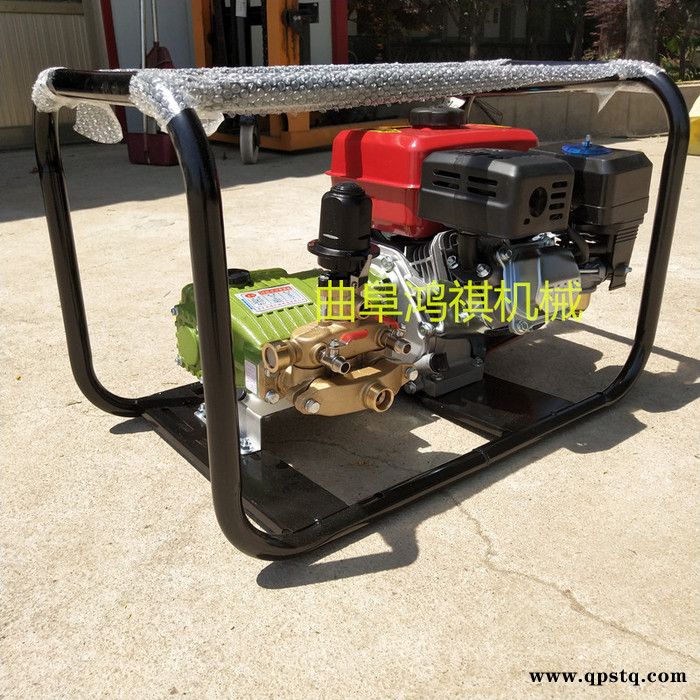 汽油打药机 鸿祺大马力打药机 汽油泵农用打药机图8