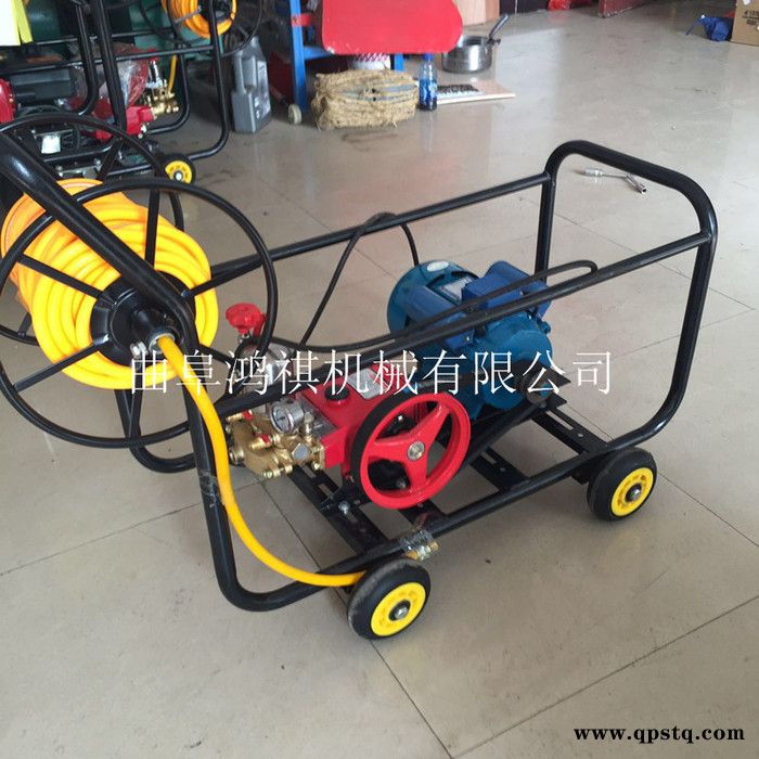 汽油打药机 鸿祺大马力打药机 汽油泵农用打药机图5