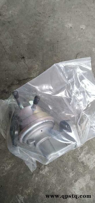 丰田FD30 汽油泵图2