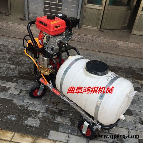 牡丹江 手推式农用电动喷雾器 汽油泵高压喷雾机 小型汽油除虫机厂家H图4
