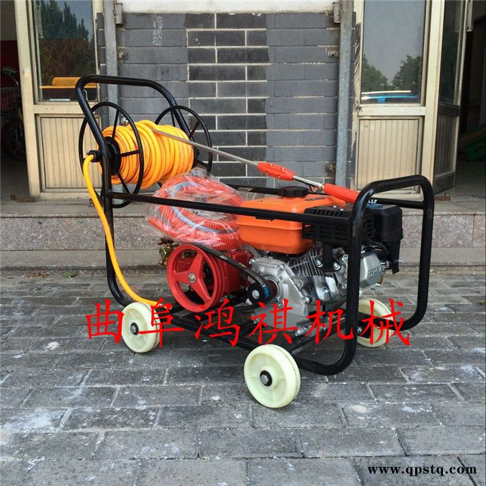 牡丹江 手推式农用电动喷雾器 汽油泵高压喷雾机 小型汽油除虫机厂家H图6