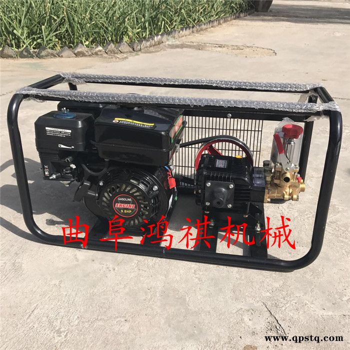 牡丹江 手推式农用电动喷雾器 汽油泵高压喷雾机 小型汽油除虫机厂家H图2