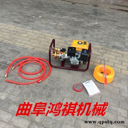 牡丹江 手推式农用电动喷雾器 汽油泵高压喷雾机 小型汽油除虫机厂家H图3