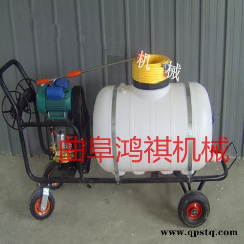 龙岩 动力喷雾器 手推式汽油打药机 汽油泵高压打药机图6