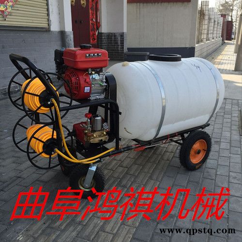 龙岩 动力喷雾器 手推式汽油打药机 汽油泵高压打药机图4