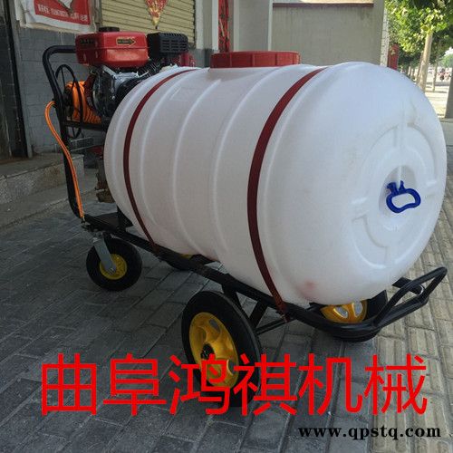 龙岩 动力喷雾器 手推式汽油打药机 汽油泵高压打药机图7