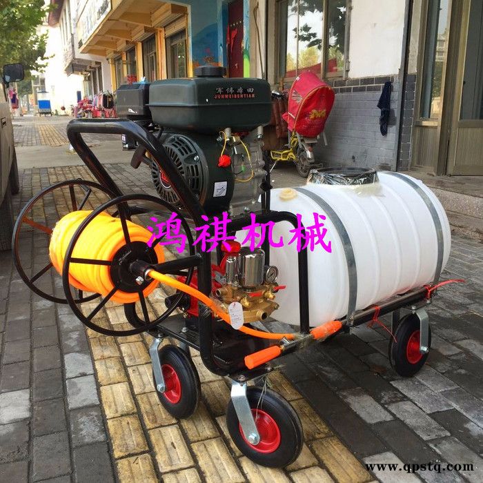 汽油泵高压打药机 汽油打药机 偃师图5