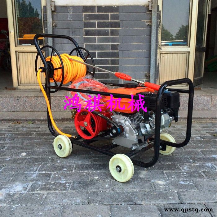 汽油泵高压打药机 汽油打药机 偃师图3
