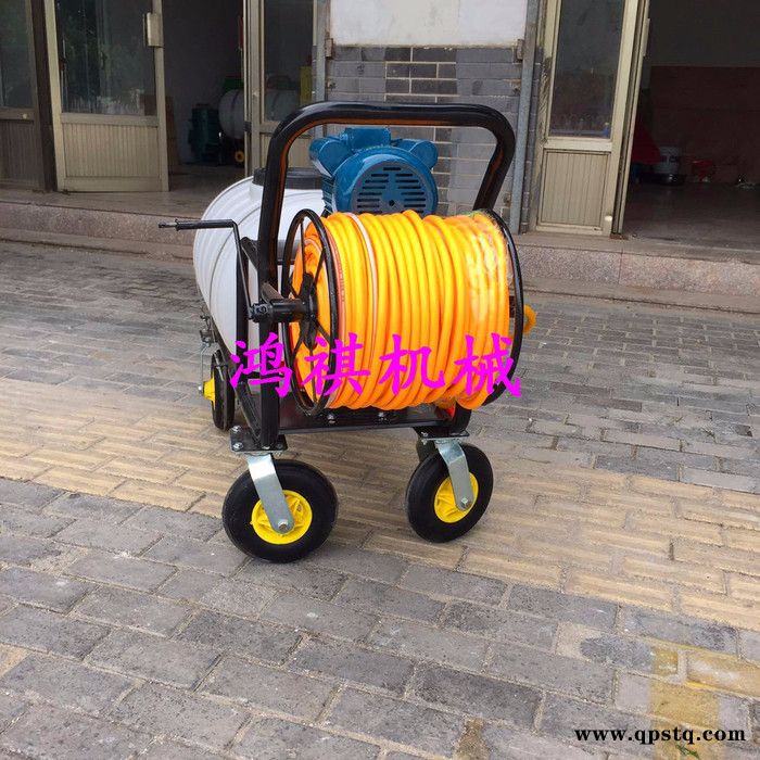 汽油泵高压打药机 汽油打药机 偃师图8