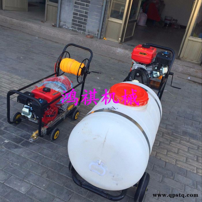 汽油泵高压打药机 汽油打药机 偃师图7