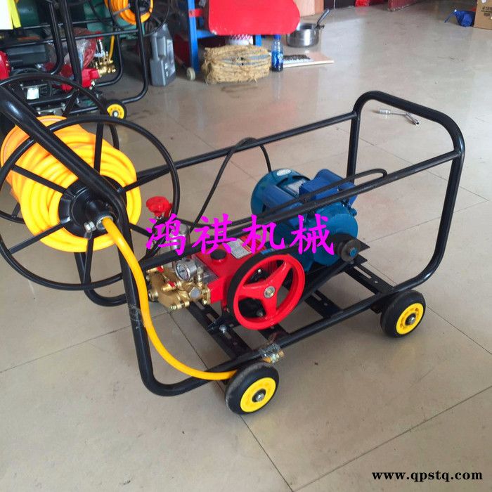 汽油泵高压打药机 汽油打药机 偃师图2