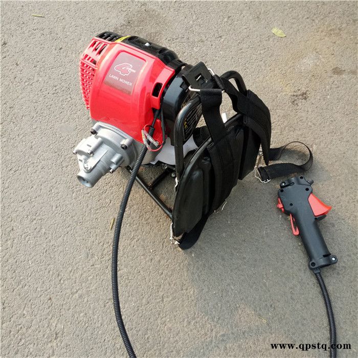 汽油泵混凝土振捣棒 插入式振动机 建筑震动器 背负式振动棒图6