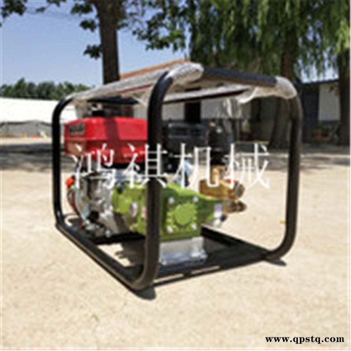 高杆农田打药机 汽油泵高压喷雾机 电动 大棚弥雾机图8