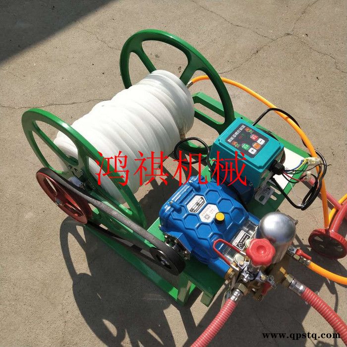 高杆农田打药机 汽油泵高压喷雾机 电动 大棚弥雾机图2