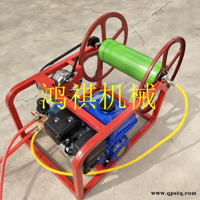 汽油泵高压喷雾机 快速汽油打药机 电动 农田大棚打药机图8