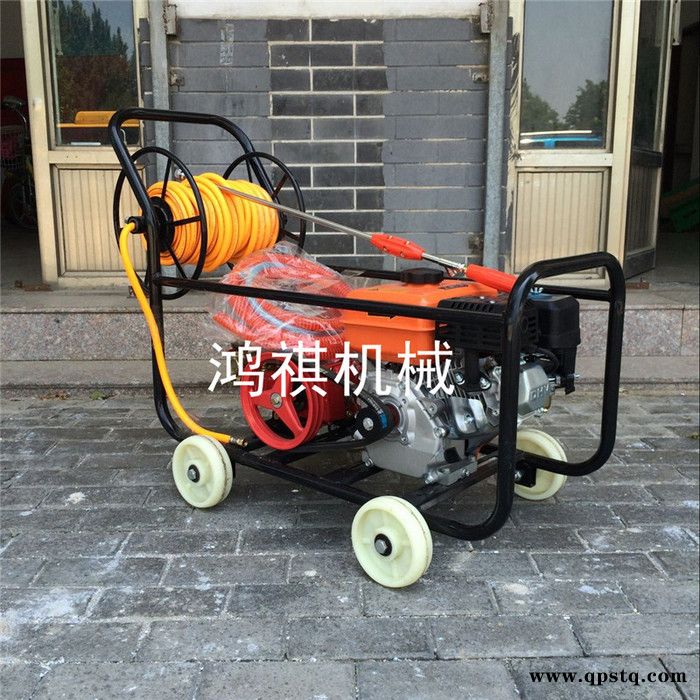 汽油泵高压喷雾机 快速汽油打药机 电动 农田大棚打药机图4