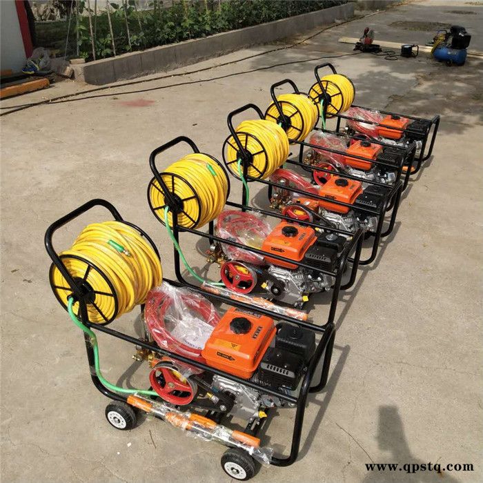 汽油打药机 汽油泵农药打药机 电动 果园打药机图6