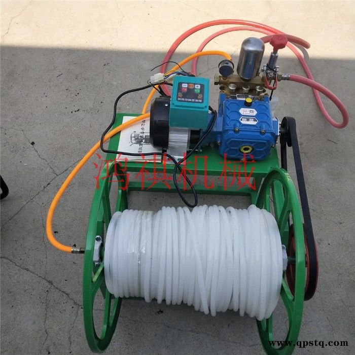 汽油打药机 汽油泵农药打药机 电动 果园打药机图2