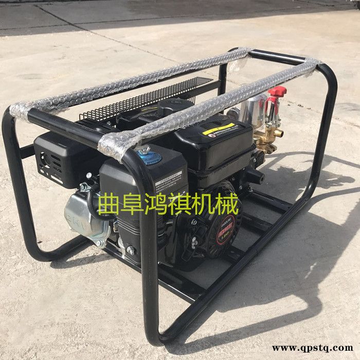 汽油打药机 汽油泵农药打药机 电动 果园打药机图4