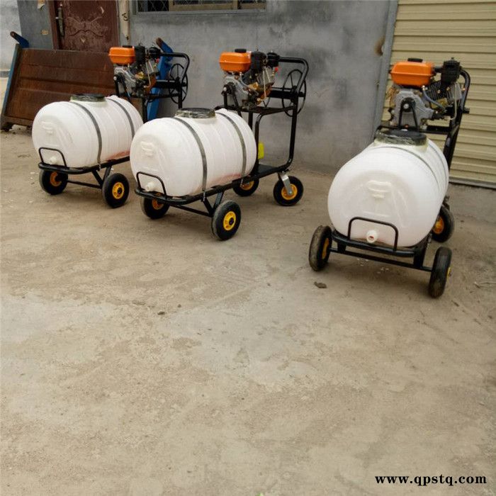 手推式高压汽油泵远程打药机 宇晨公共场所消毒机图5