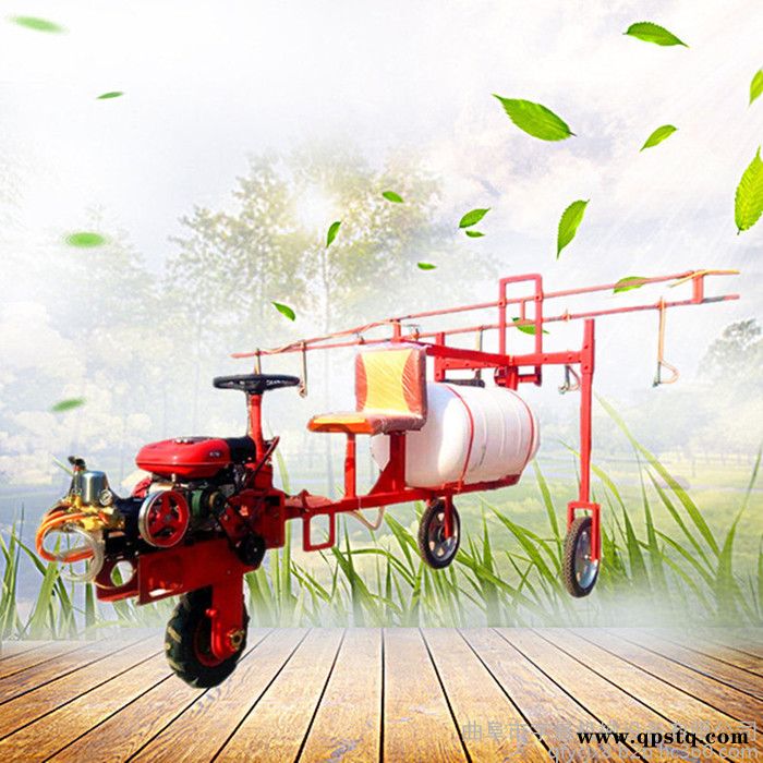 手推式高压汽油泵远程打药机 宇晨公共场所消毒机图8