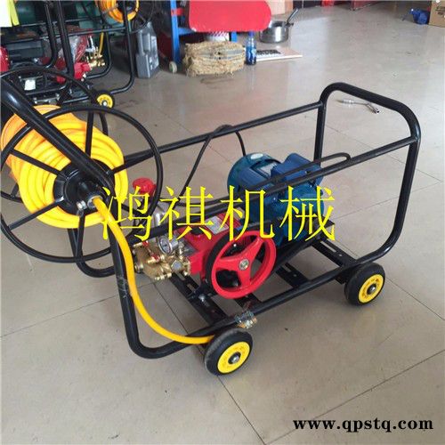 乌兰察布 汽油动力打药机 **汽油喷雾机 汽油泵农田打药机图3