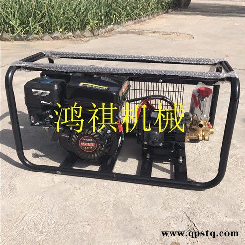 乌兰察布 汽油动力打药机 **汽油喷雾机 汽油泵农田打药机图4