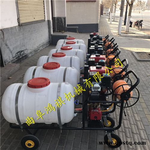 新型手推式农用喷雾器汽油打药机汽油泵打药车图3