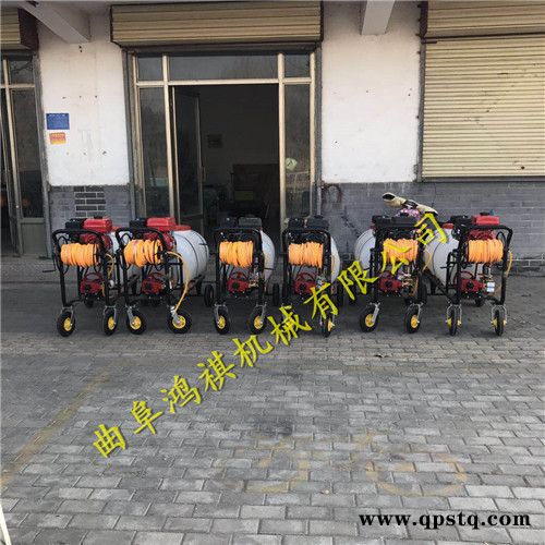 新型手推式农用喷雾器汽油打药机汽油泵打药车图2