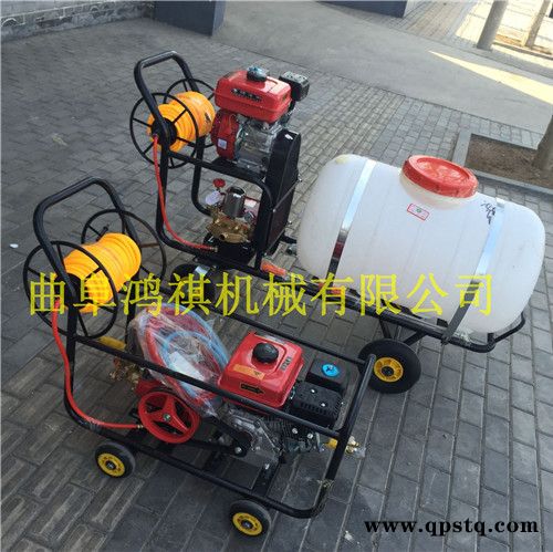 新型手推式农用喷雾器汽油打药机汽油泵打药车图8