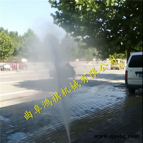 新型手推式农用喷雾器汽油打药机汽油泵打药车图7