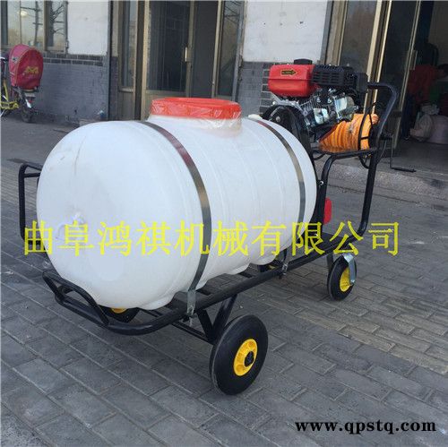新型手推式农用喷雾器汽油打药机汽油泵打药车图5