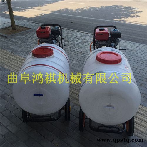 新型手推式农用喷雾器汽油打药机汽油泵打药车图4